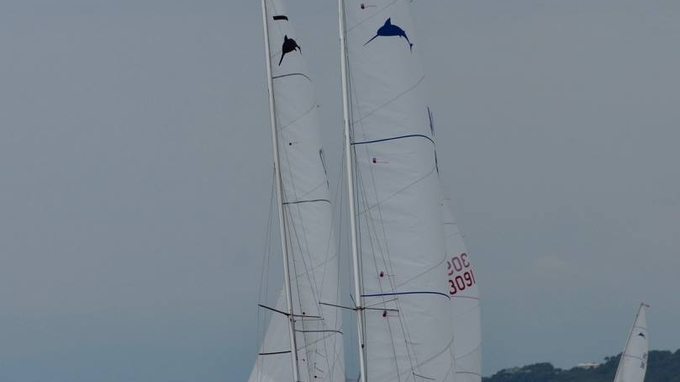 image4