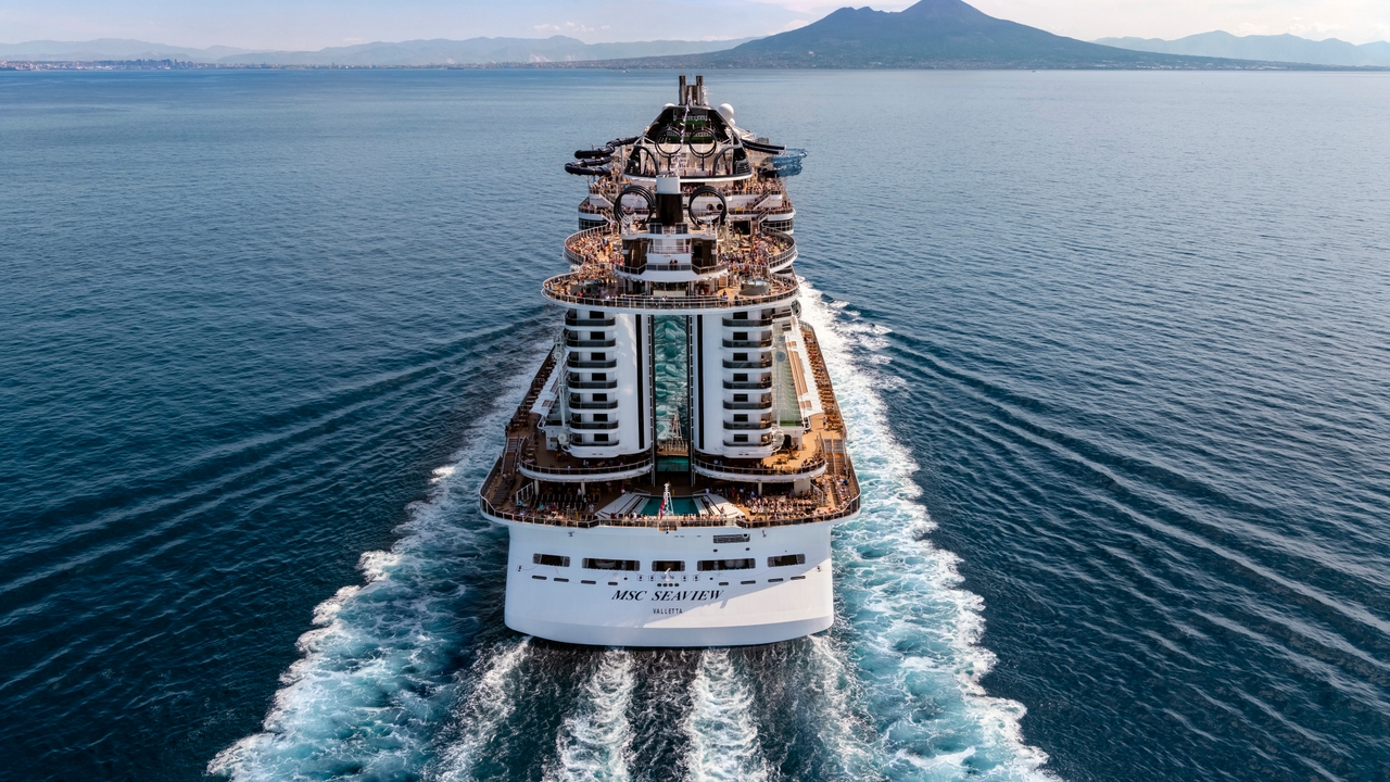 MSC Seaview